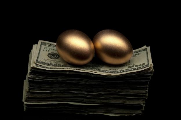 ¿Quién es el dueño de la gallina de los huevos de oro?