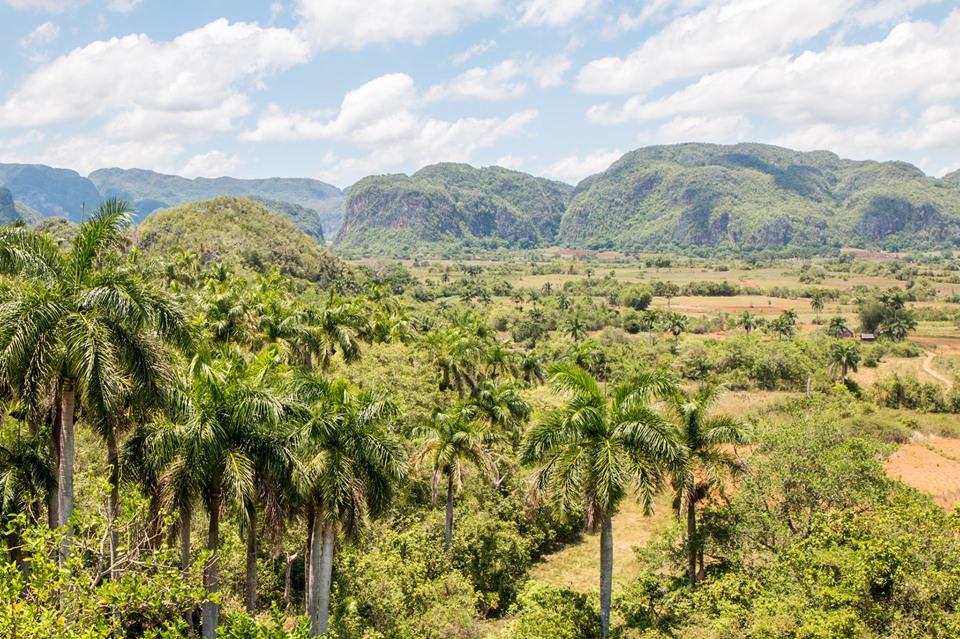 Servicio turístico: Circuito, siete dias en Viñales, en casa de Nelffis, Darelys y Yoslaidy.