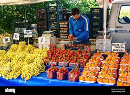 Curso individual de negocios de 60h. Conocemos mejor, diagnosticamos y rectificamos los sistemas fundamentales de tu pequeño negocio de comercio de frutas. Para T.CP. comerciantes de frutas.