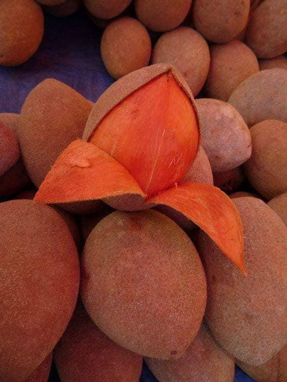 Producto, frutas frescas: Mamey maduro.