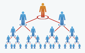 Curso individual de negocios de 60h. Qué son las redes de mercadeo. Conócelas, afíliate y amplia tu negocio. Para todas las pequeñas mipymes.