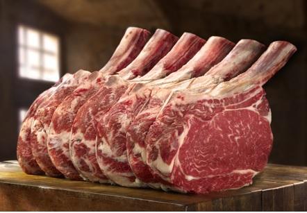Proposición de inversión: Busco inversores, desde 200 dólares, en la produción de carne de avestruz, en la Finca Ecológica, de Producción y Recreo, en Pinar del Rio, Cuba.