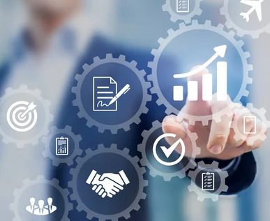 Servicio de diagnóstico: Diagnóstico general del sistema de sistemas del negocio.