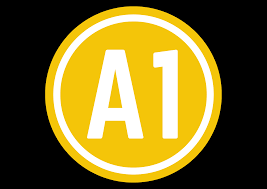 Curso individual de idioma español para adultos. Nivel A1. Dos clases semanales de 100 minutos.