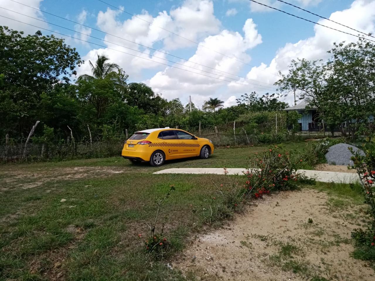 Todos los dias algo nuevo ocurre en la creación de la finca. Ya parte del transporte lo tenemos resuelto.