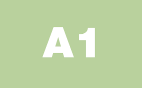 Curso individual de idioma español para adultos. Nivel A1. Tres clases semanales de 100 minutos.