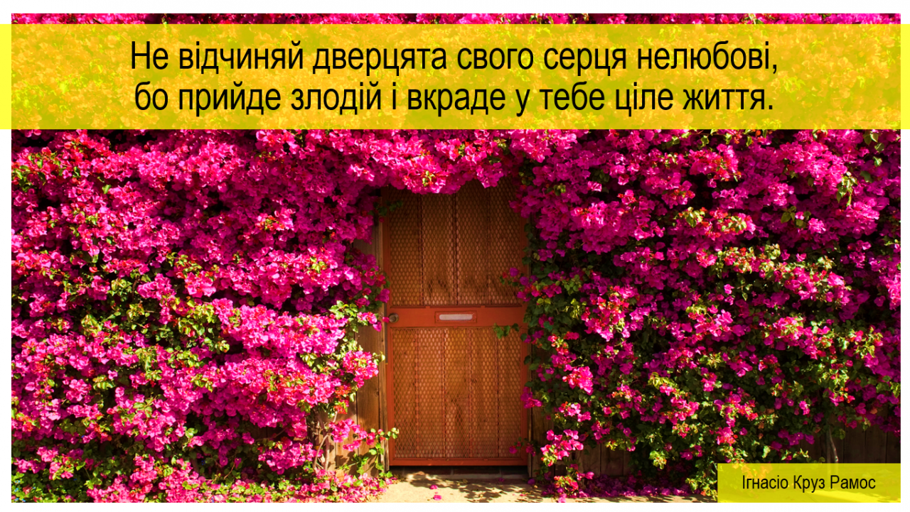 No abras las puertas de tu corazón al desamor, porque llega el ladrón y te roba la vida.