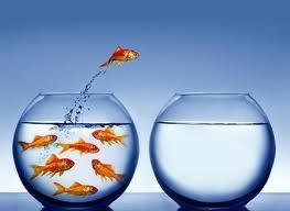 Deseo crear mi escuela de negocios. ¿Qué hacer?