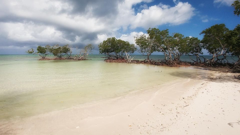 Excursón: Excursión a Cayo Jutia, desde la finca.